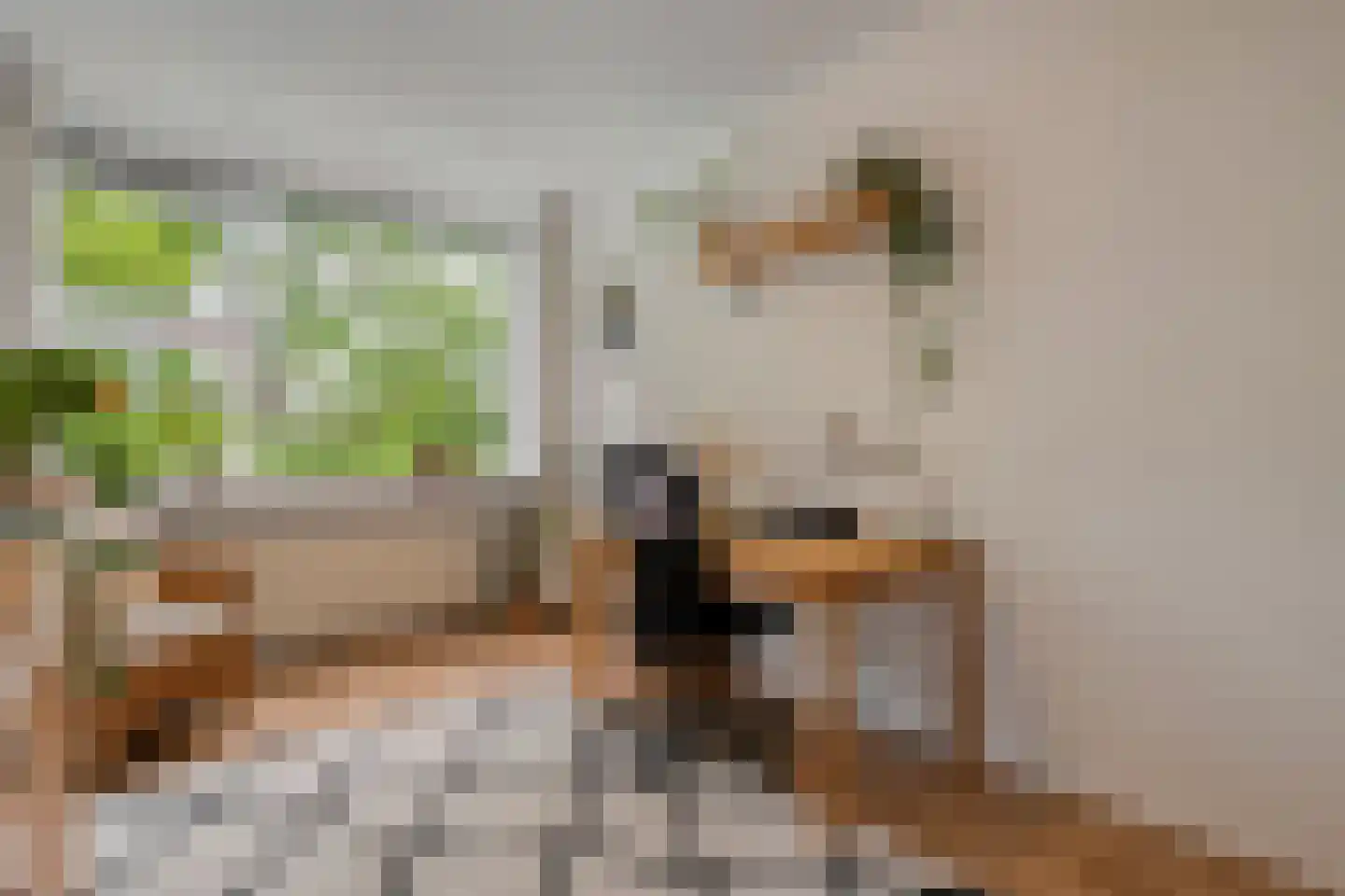 Hogenkampsweg 175 Zwolle thumbnail 14