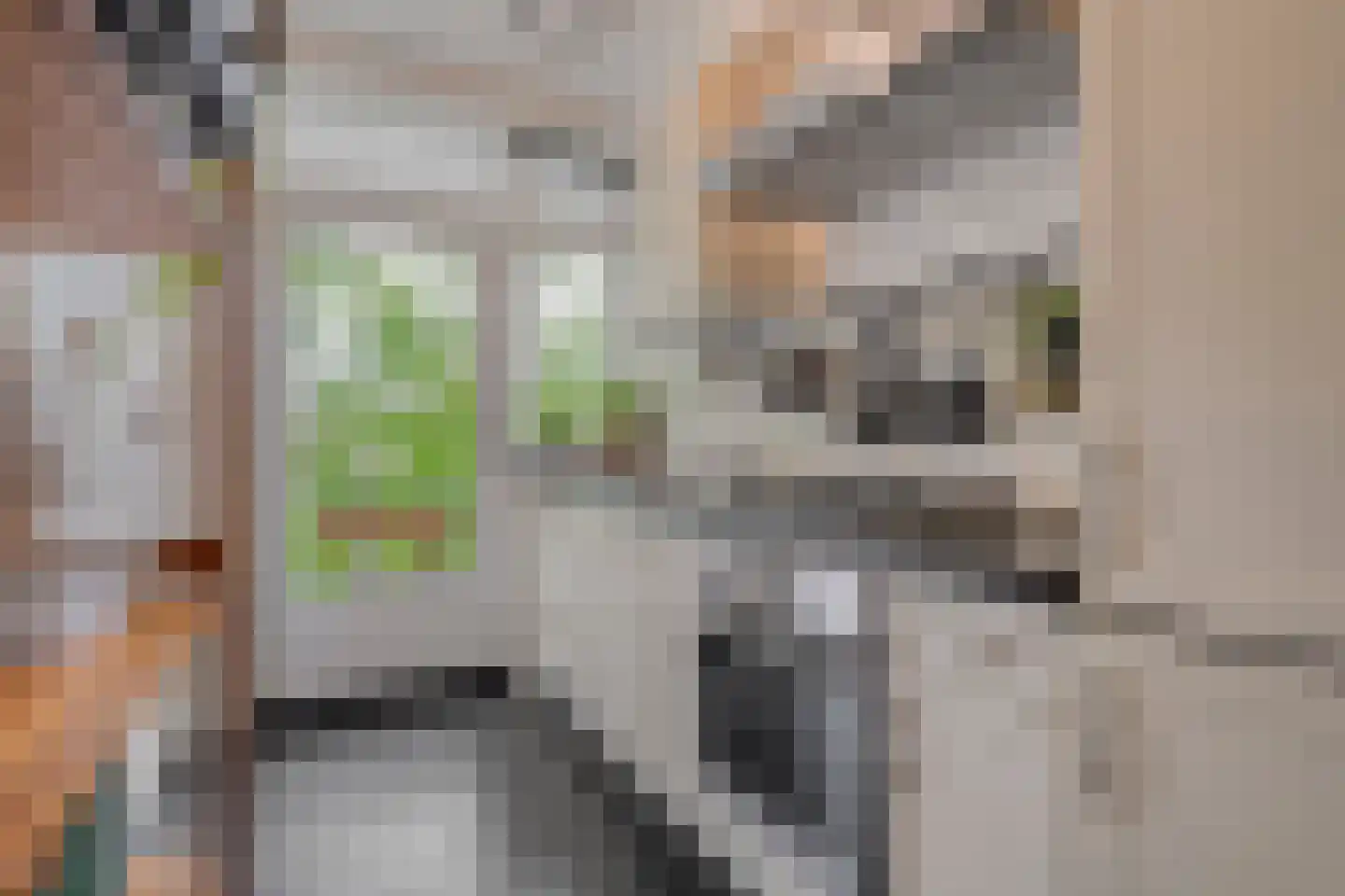 Hogenkampsweg 175 Zwolle thumbnail 18