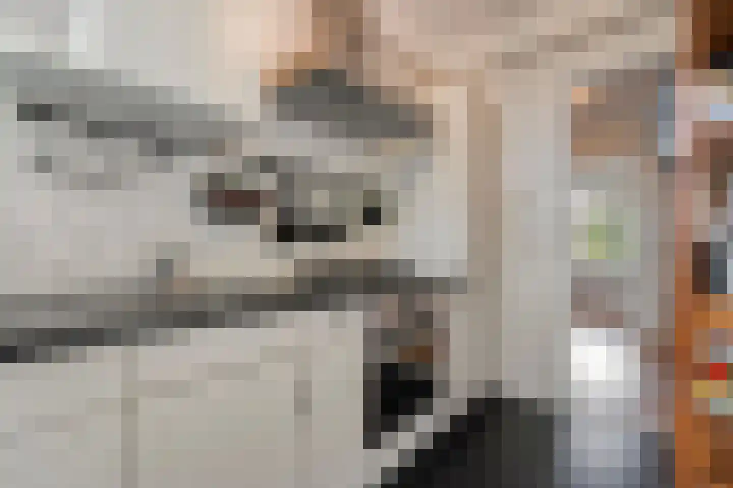 Hogenkampsweg 175 Zwolle thumbnail 19