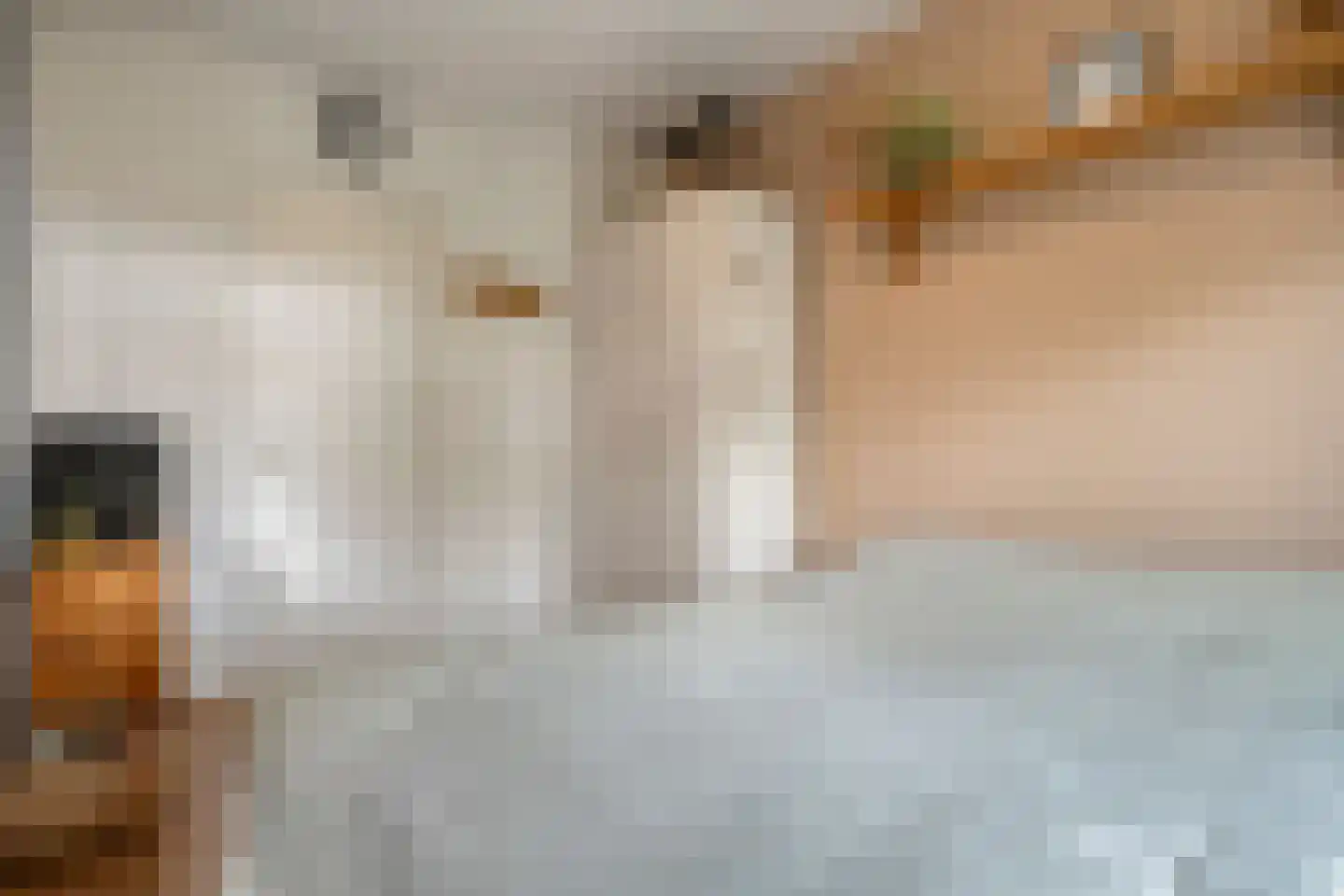 Hogenkampsweg 175 Zwolle thumbnail 21