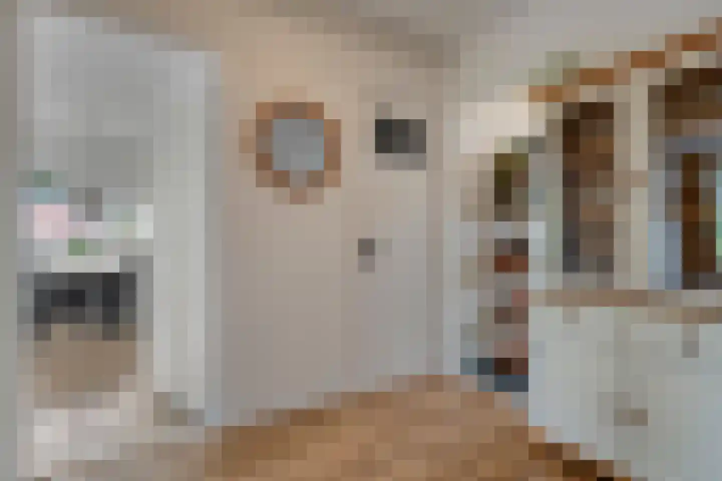 Hogenkampsweg 175 Zwolle thumbnail 6