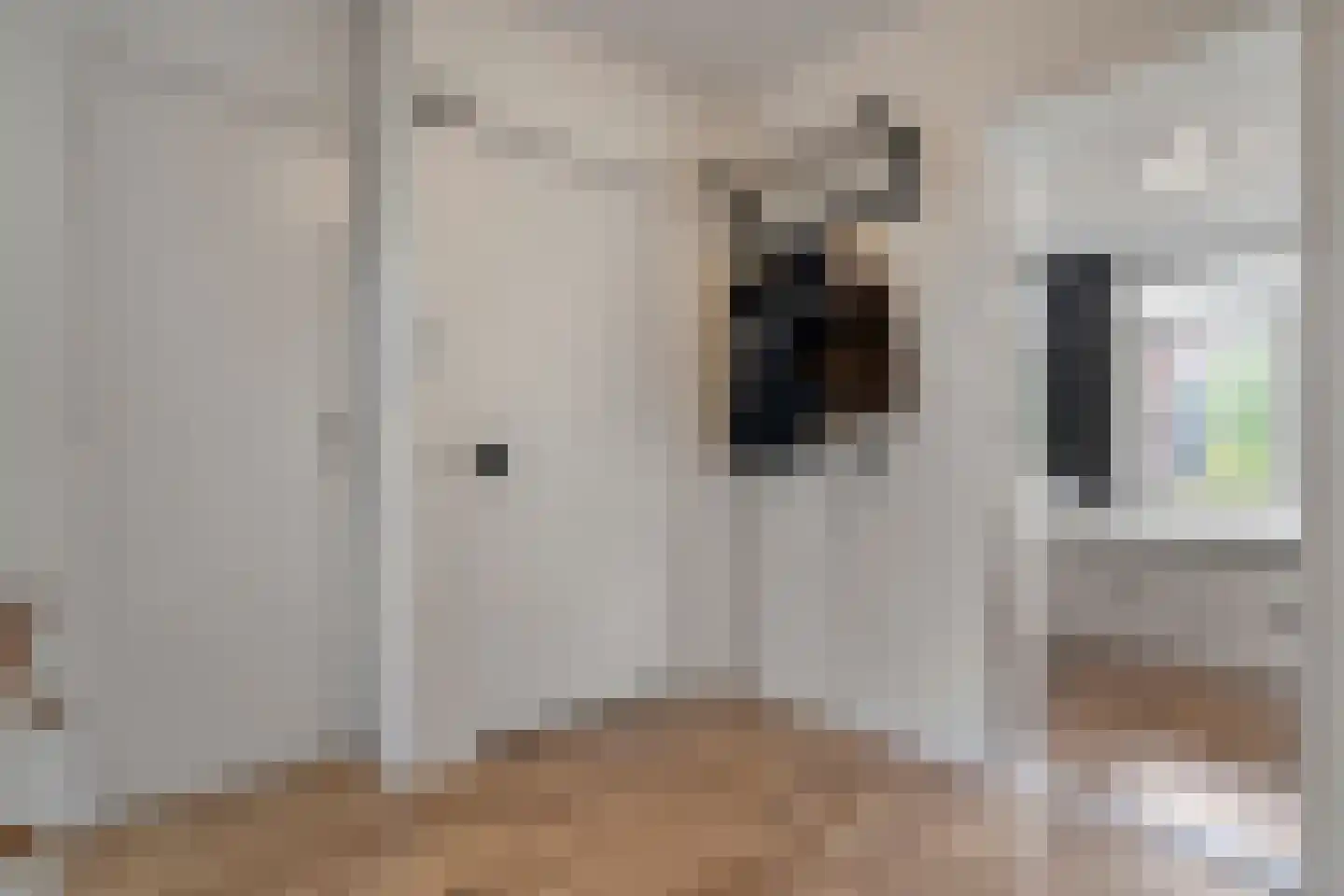 Hogenkampsweg 175 Zwolle thumbnail 7