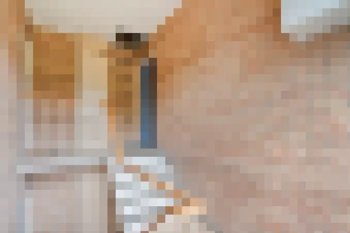 Hogenkampsweg 183 Zwolle thumbnail 29