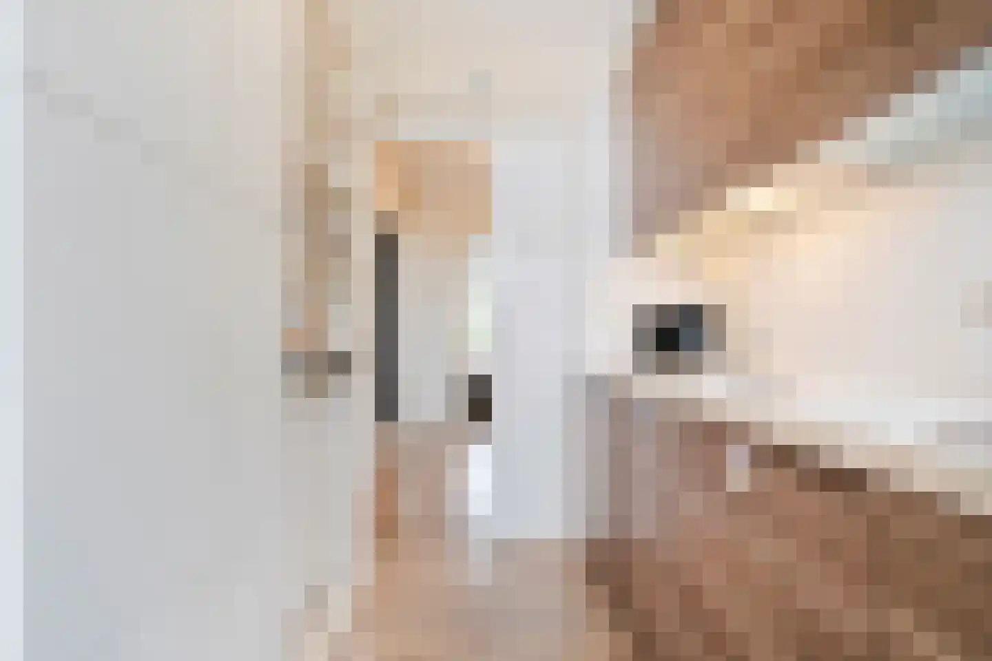 Hogenkampsweg 183 Zwolle thumbnail 5