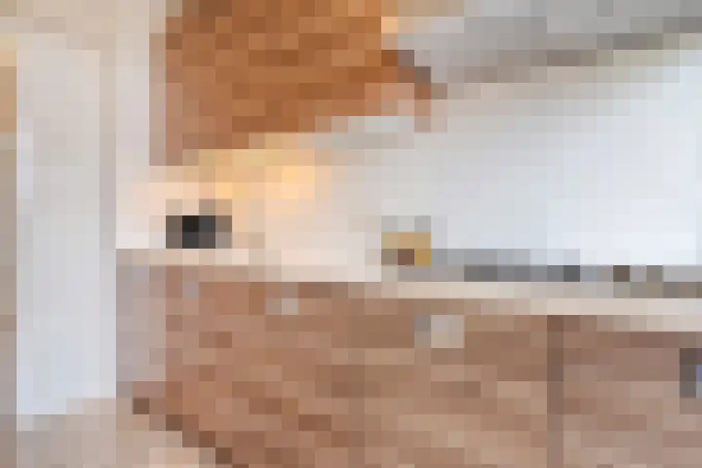 Hogenkampsweg 183 Zwolle thumbnail 6