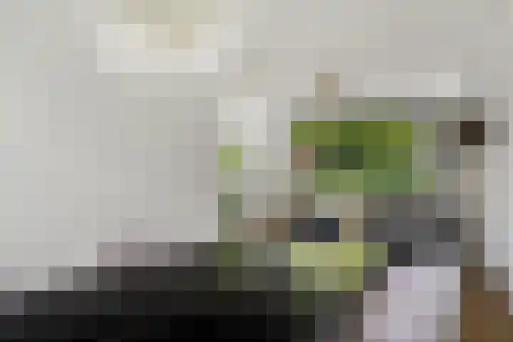 Hogenkampsweg 187 Zwolle thumbnail 10
