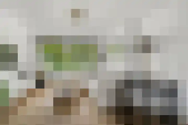Hogenkampsweg 187 Zwolle thumbnail 11