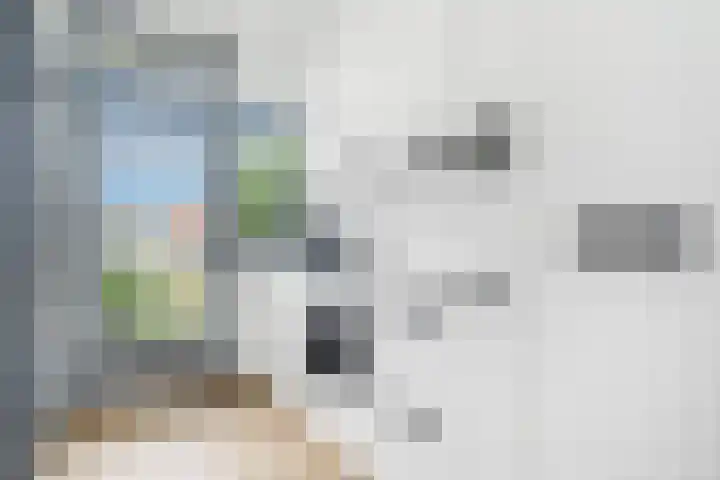 Hogenkampsweg 187 Zwolle thumbnail 12