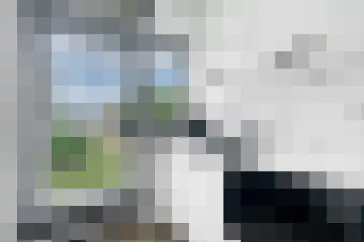 Hogenkampsweg 187 Zwolle thumbnail 14