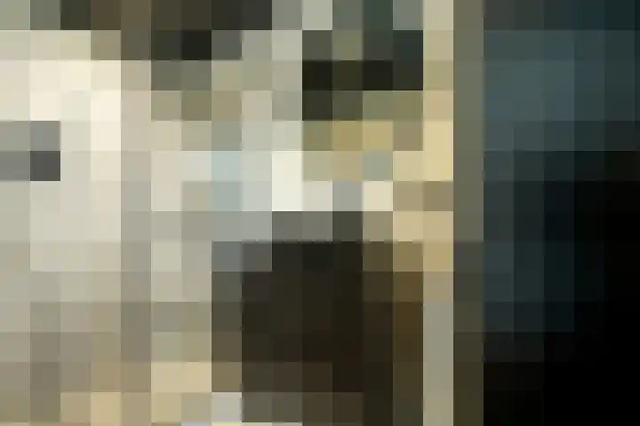 Hogenkampsweg 187 Zwolle thumbnail 19