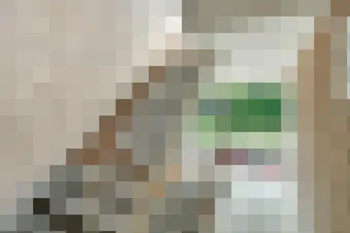 Hogenkampsweg 187 Zwolle thumbnail 5