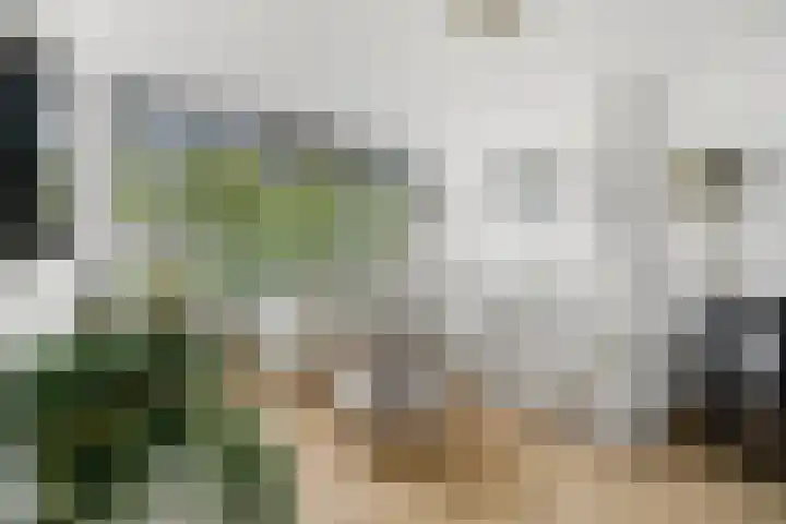 Hogenkampsweg 187 Zwolle thumbnail 6
