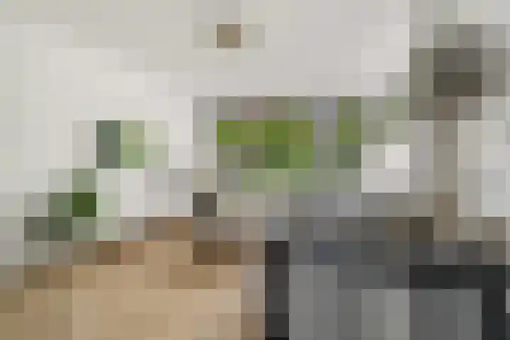 Hogenkampsweg 187 Zwolle thumbnail 7