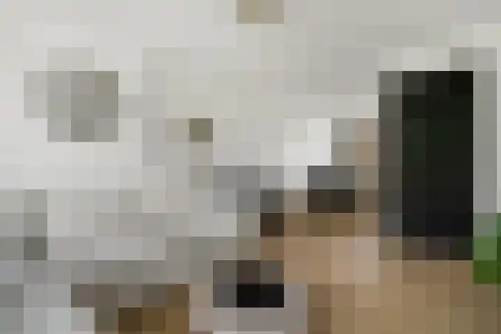 Hogenkampsweg 187 Zwolle thumbnail 8