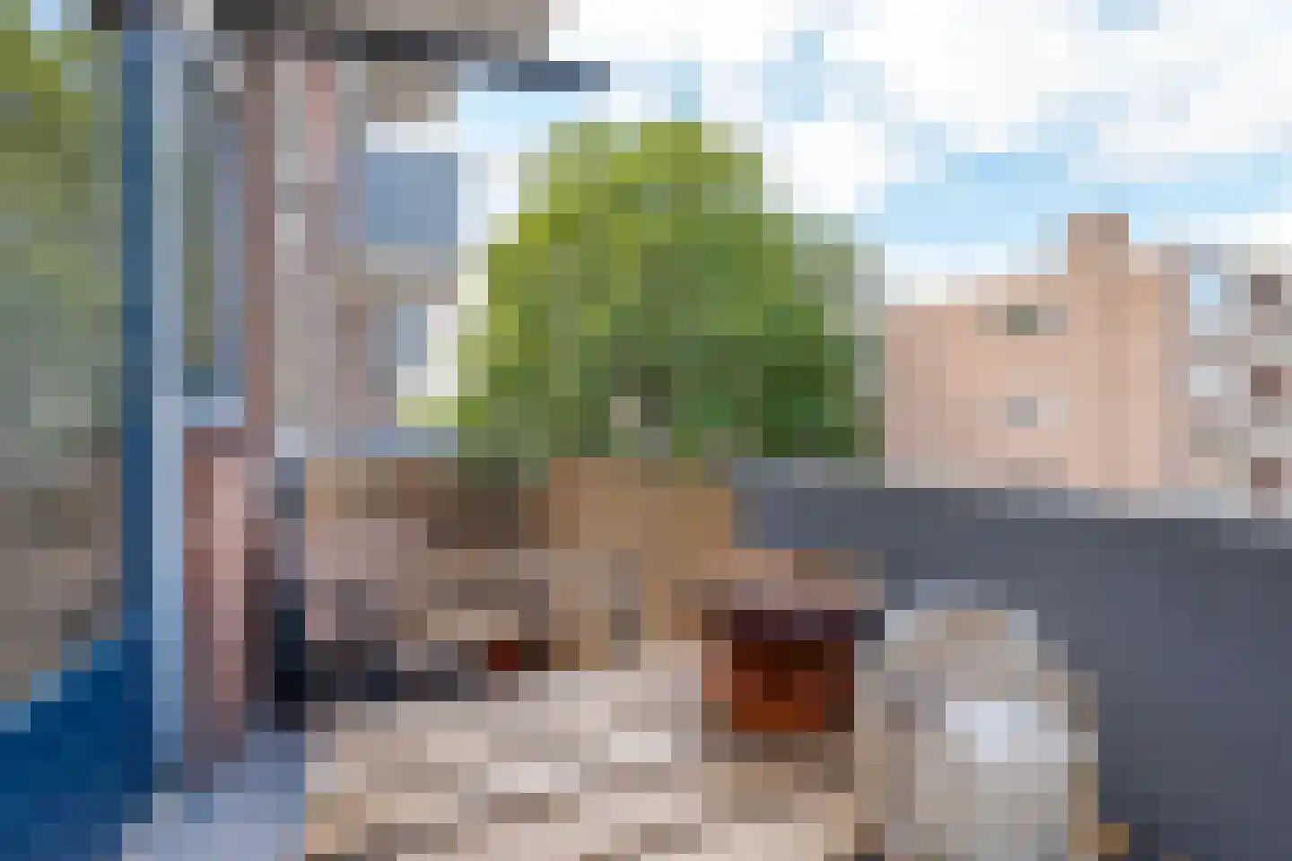 Hogenkampsweg 197 Zwolle thumbnail 23