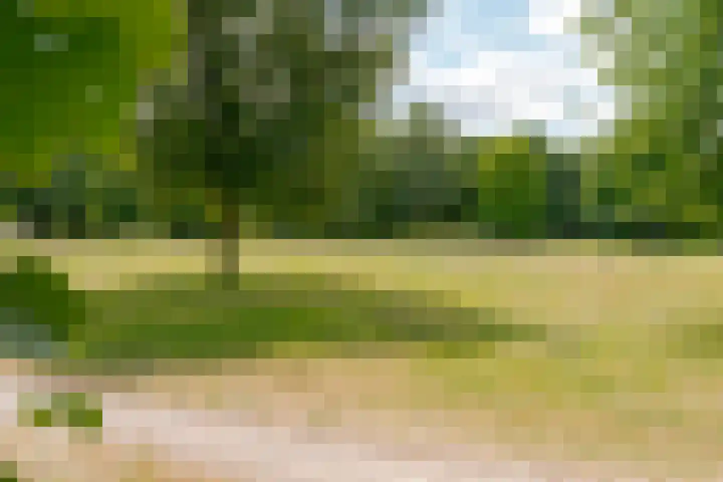 Hogenkampsweg 197 Zwolle thumbnail 45