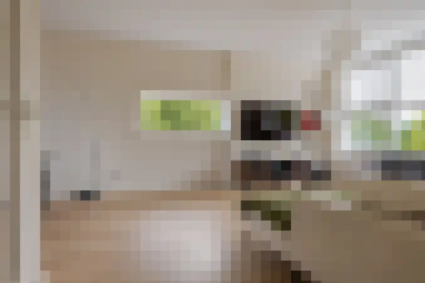 Hogenkampsweg 197 Zwolle thumbnail 9