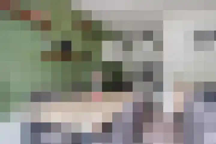 Hogenkampsweg 2 15 Zwolle thumbnail 9