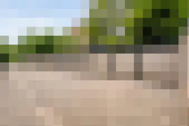 Hogenkampsweg 2 24 Zwolle thumbnail 20