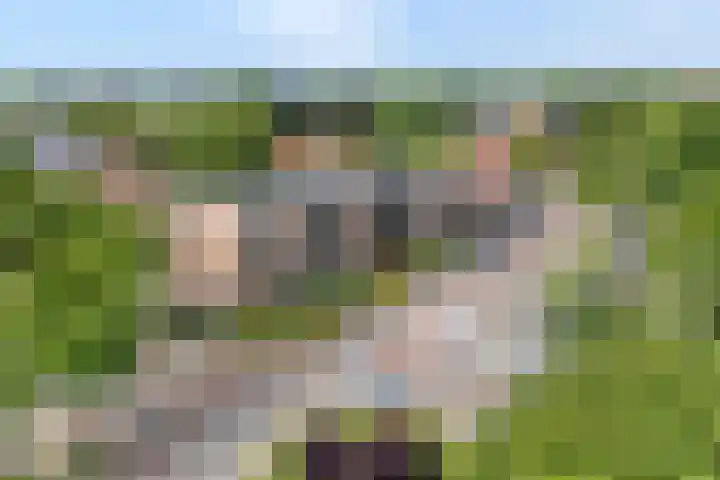 Hogenkampsweg 2 24 Zwolle thumbnail 24