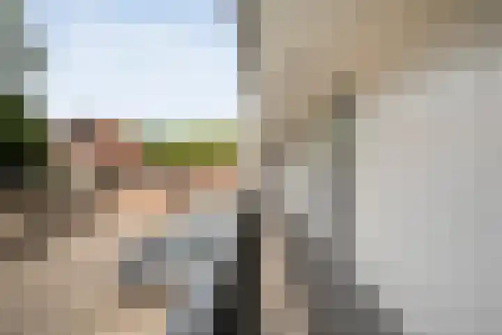 Hogenkampsweg 2 24 Zwolle thumbnail 5
