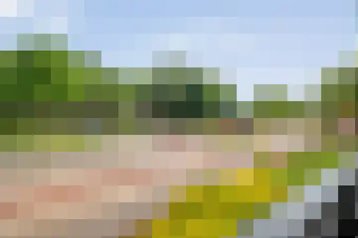 Hogenkampsweg 2 24 Zwolle thumbnail 6
