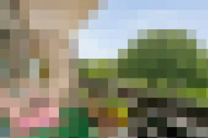 Hogenkampsweg 2 44 Zwolle thumbnail 10