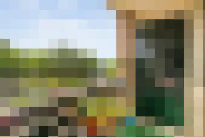 Hogenkampsweg 2 44 Zwolle thumbnail 11