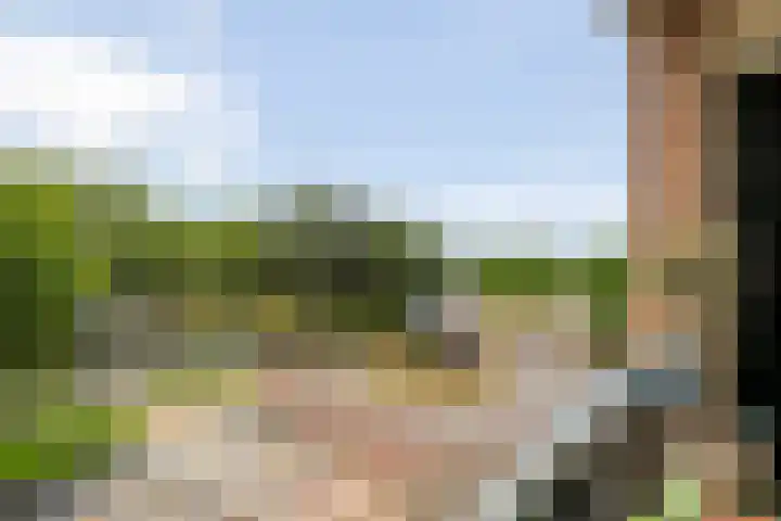 Hogenkampsweg 2 44 Zwolle thumbnail 12