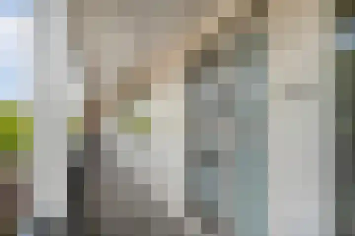 Hogenkampsweg 2 44 Zwolle thumbnail 19