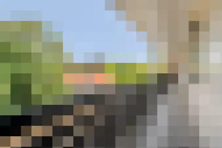 Hogenkampsweg 2 44 Zwolle thumbnail 20