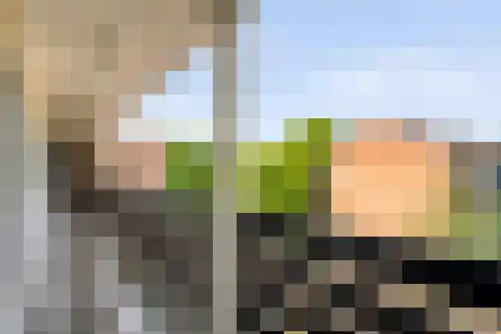 Hogenkampsweg 2 44 Zwolle thumbnail 21