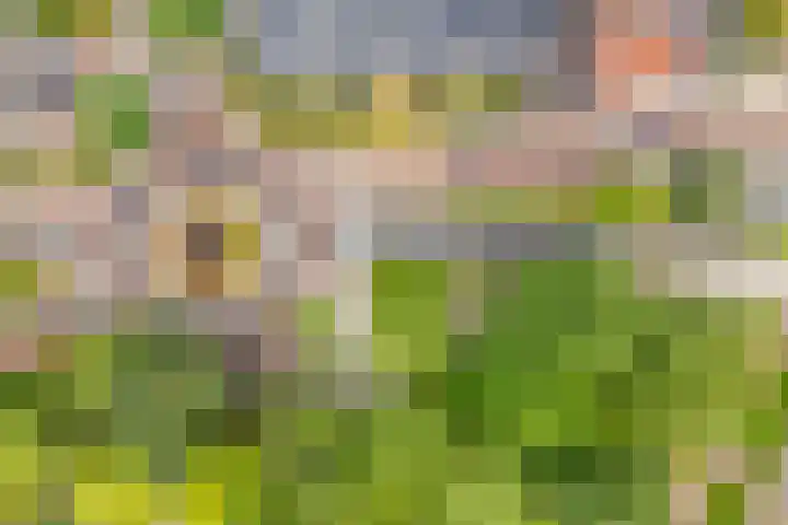 Hogenkampsweg 2 44 Zwolle thumbnail 25