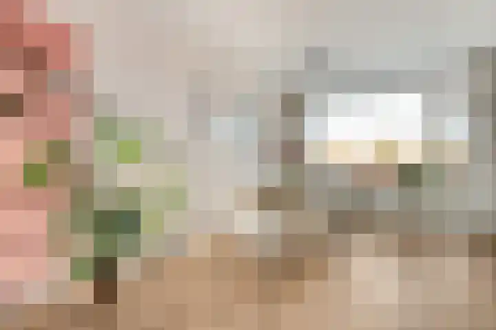 Hogenkampsweg 24 Zwolle thumbnail 13