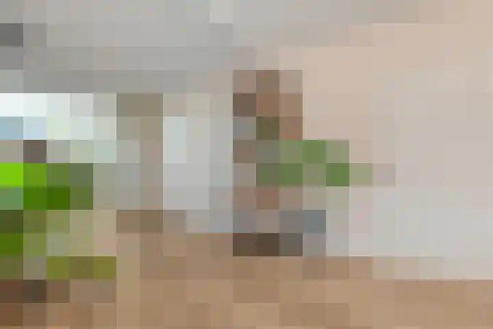 Hogenkampsweg 24 Zwolle thumbnail 16