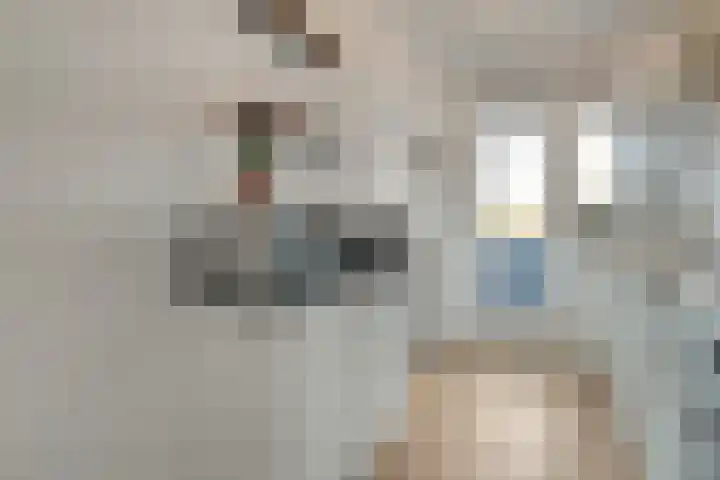 Hogenkampsweg 24 Zwolle thumbnail 20