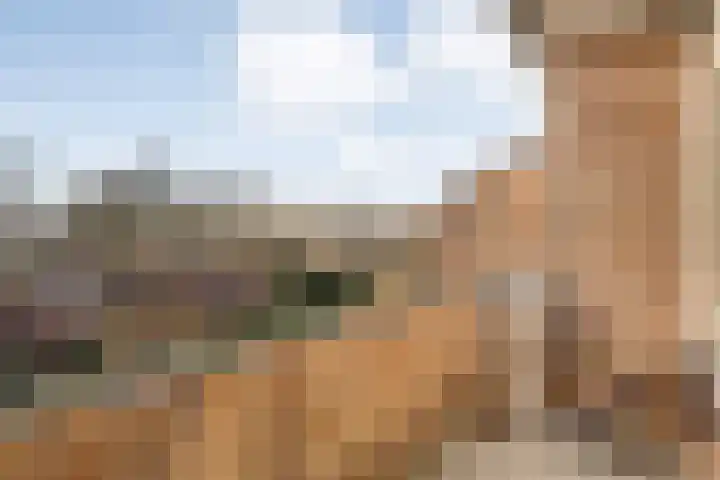 Hogenkampsweg 24 Zwolle thumbnail 23