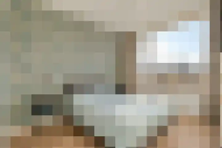 Hogenkampsweg 24 Zwolle thumbnail 26