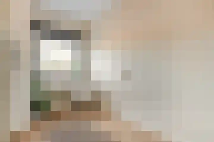Hogenkampsweg 24 Zwolle thumbnail 30