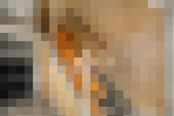 Hogenkampsweg 24 Zwolle thumbnail 33