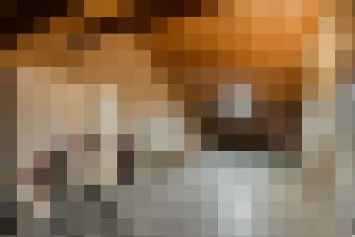 Hogenkampsweg 24 Zwolle thumbnail 35
