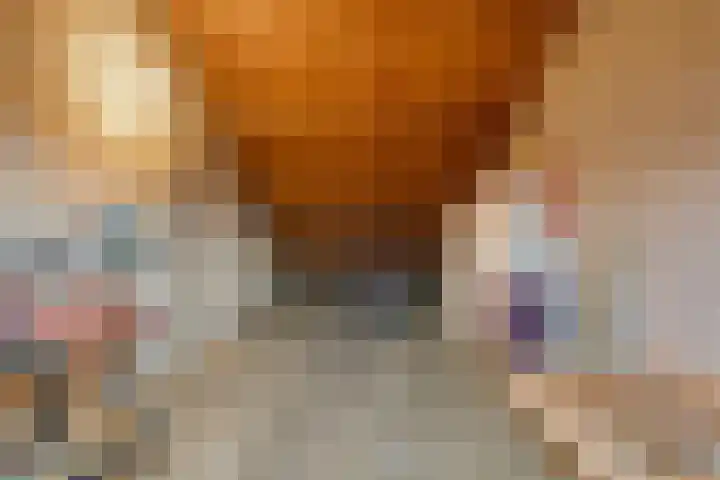 Hogenkampsweg 24 Zwolle thumbnail 36