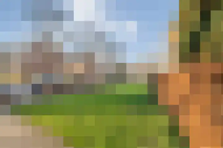 Hogenkampsweg 24 Zwolle thumbnail 37