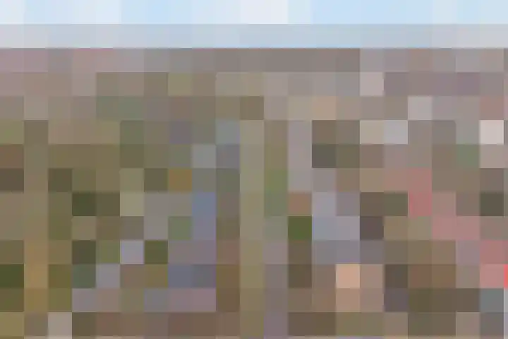 Hogenkampsweg 24 Zwolle thumbnail 39