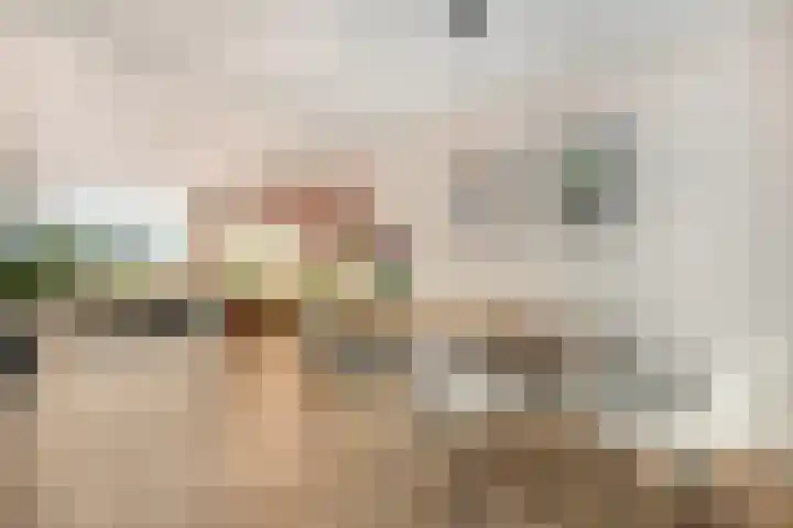Hogenkampsweg 24 Zwolle thumbnail 4