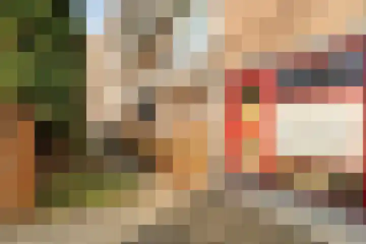 Hogenkampsweg 24 Zwolle thumbnail 6