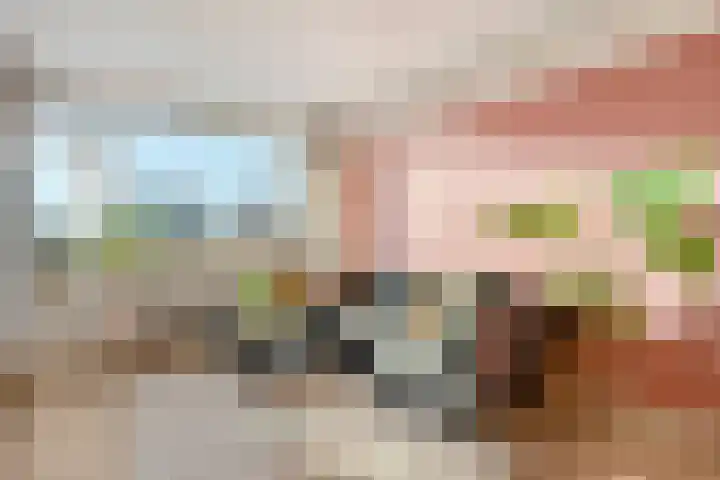 Hogenkampsweg 24 Zwolle thumbnail 7