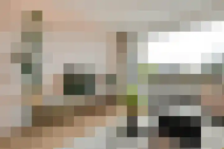 Hogenkampsweg 24 Zwolle thumbnail 8