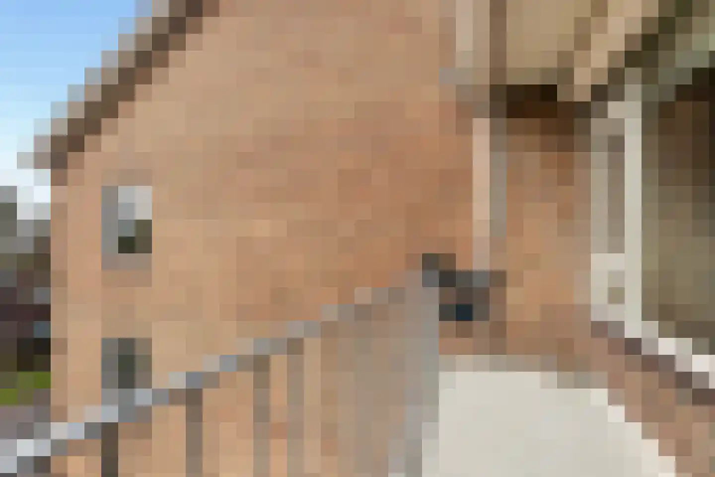 Hogenkampsweg 36 Zwolle thumbnail 18