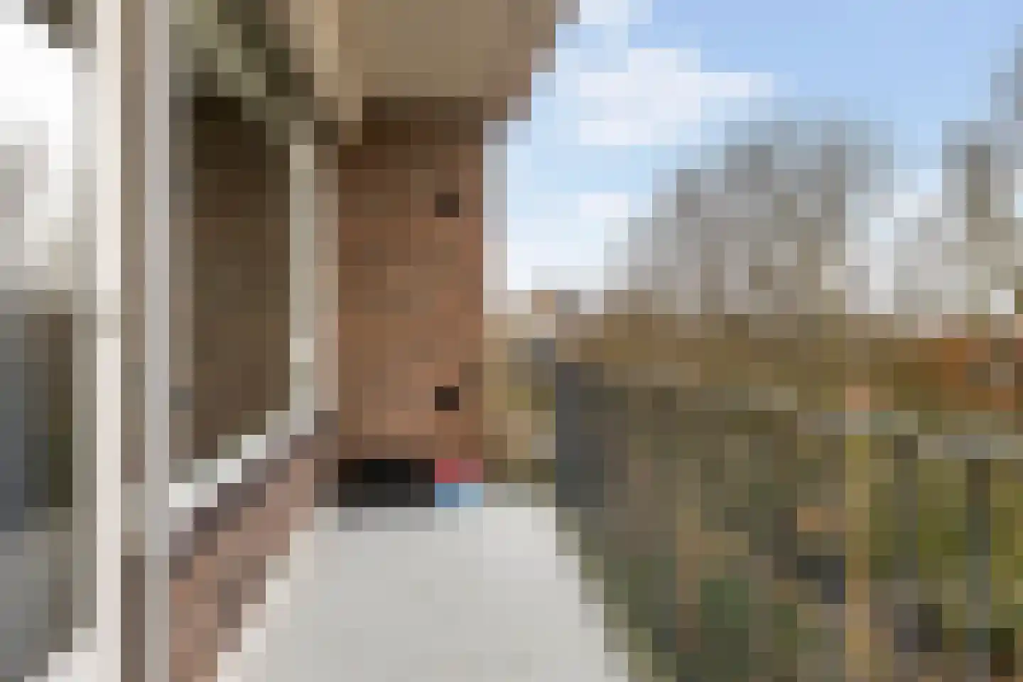 Hogenkampsweg 36 Zwolle thumbnail 23